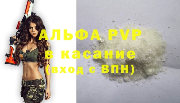 PSILOCYBIN Рославль