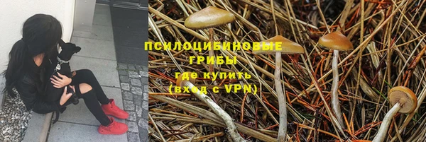 мдпв Баксан