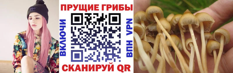 Галлюциногенные грибы ЛСД  где найти наркотики  Бирюч 
